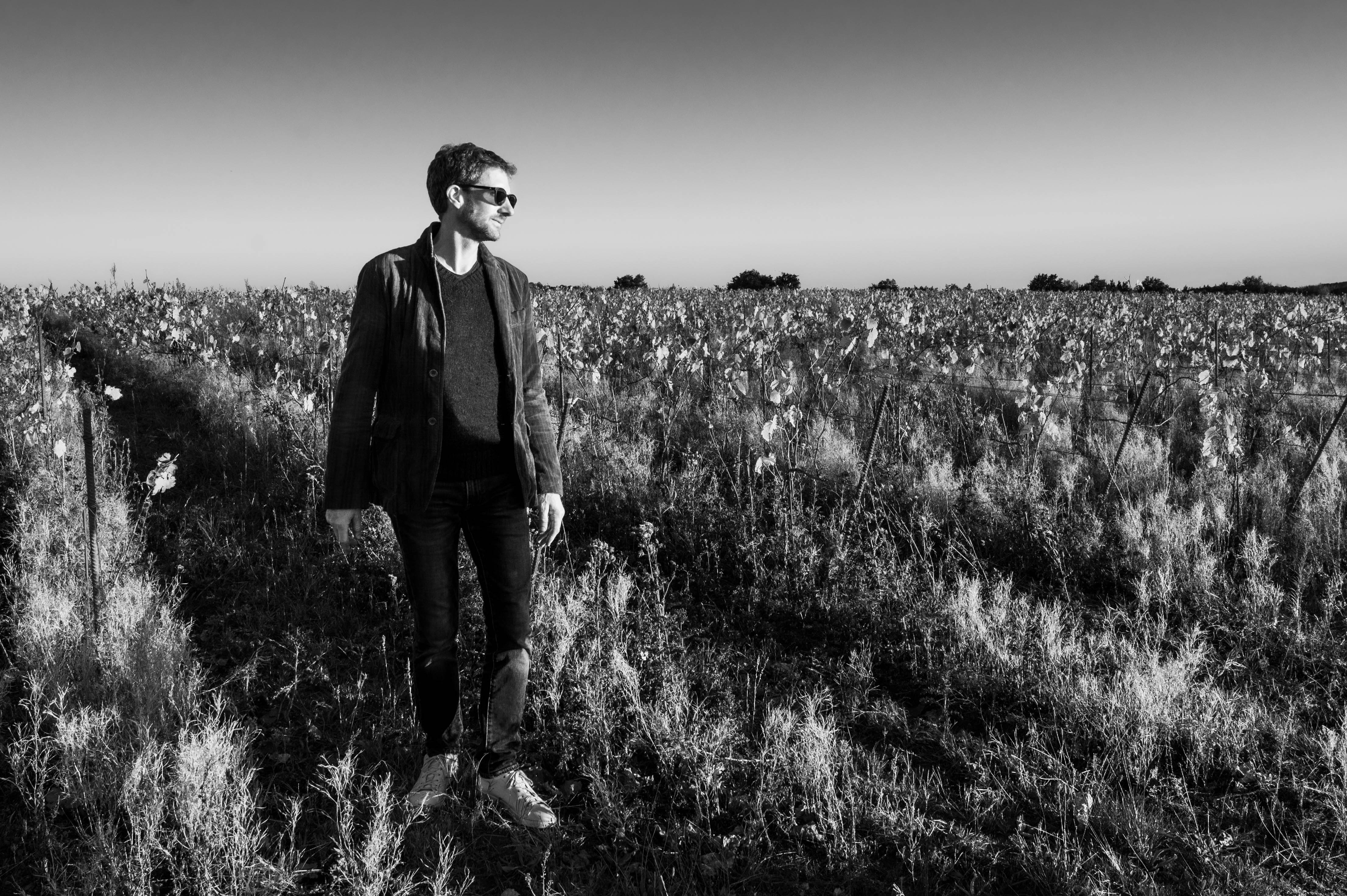 Emmanuel Roblin in the Muscadet Nantais vineyards